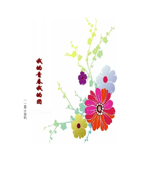 我的青春我的团 2