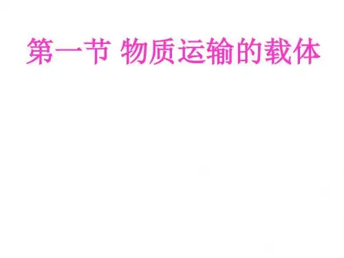第一节 物质运输的载体