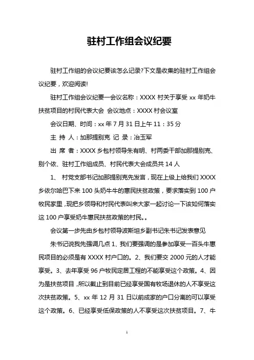 驻村工作组会议纪要