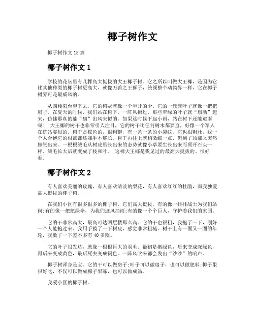 椰子树作文
