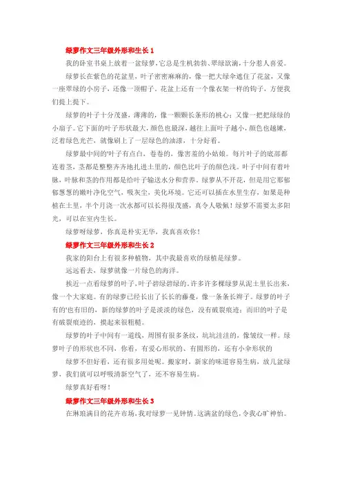 绿萝作文三年级外形和生长