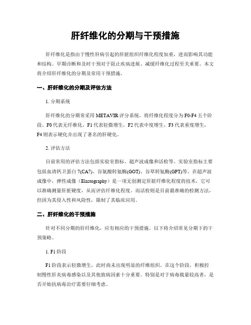 肝纤维化的分期与干预措施