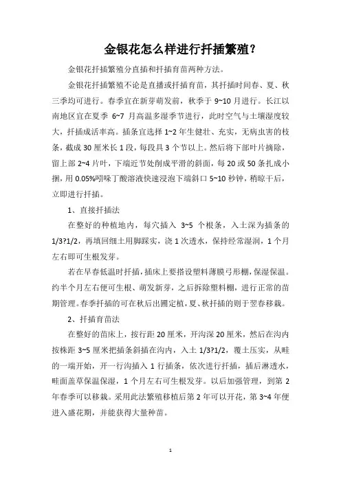 金银花怎么样进行扦插繁殖？