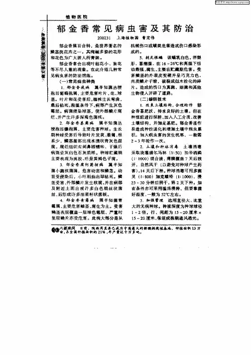 郁金香常见病虫害及其防治