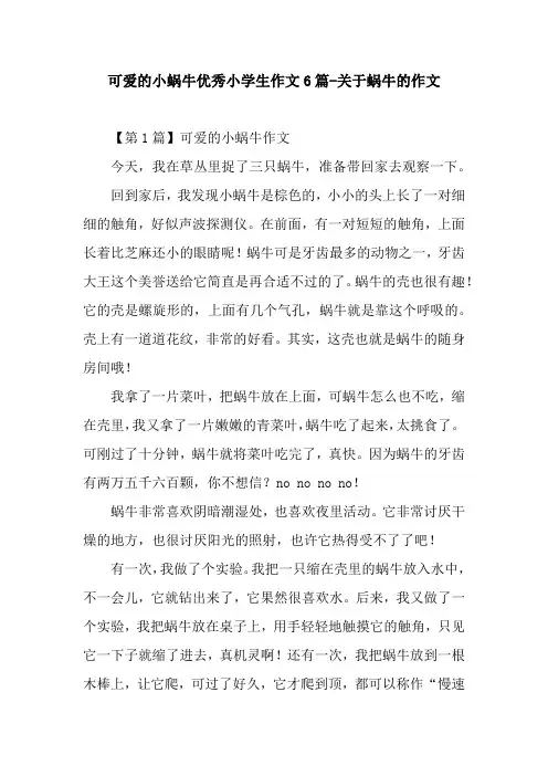 可爱的小蜗牛优秀小学生作文6篇-关于蜗牛的作文