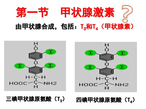 第三十六章甲状腺激素及抗甲状腺素药川北医学院课件