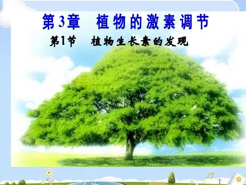 人教版高中生物必修三第3章第1节   植物生长素的发现  课件(共15张PPT)
