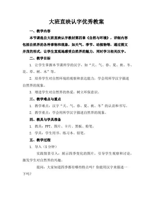 大班直映认字优秀教案