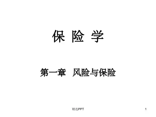 《风险与保险》PPT课件 (2)