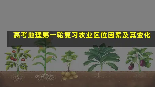 高三地理第一轮复习课件农业区位因素及其变化
