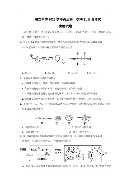 最新-浙江省瑞安中学2018届高三上学期期中考试(生物) 精品