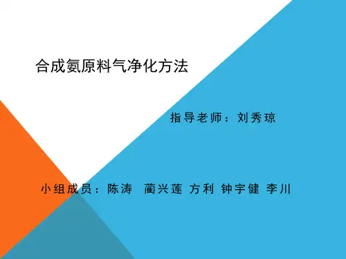 第二组 合成氨原料气净化原理方法
