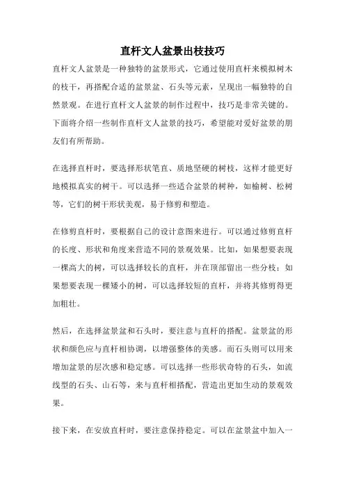 直杆文人盆景出枝技巧