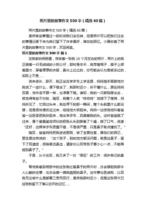 照片里的故事作文500字（精选60篇）