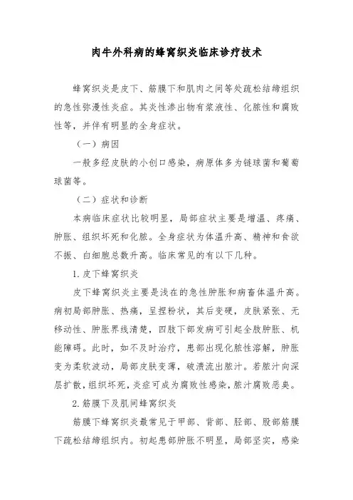 肉牛外科病的蜂窝织炎临床诊疗技术