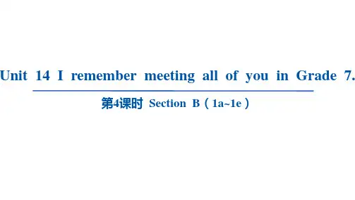 Unit14SectionB课件人教版英语九年级全册
