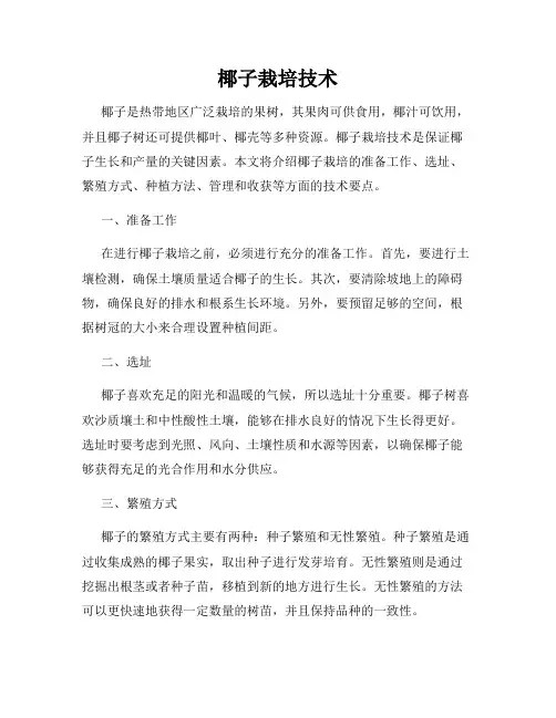 椰子栽培技术