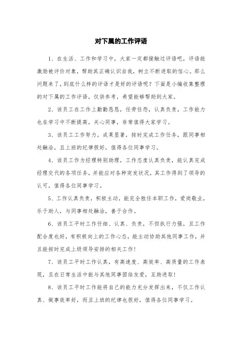 对下属的工作评语