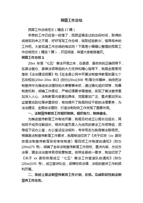 预算工作总结范文（精选17篇）