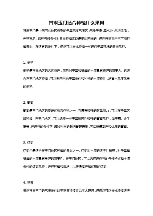 甘肃玉门适合种植什么果树