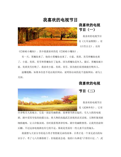 我喜欢的电视节目(共10篇)
