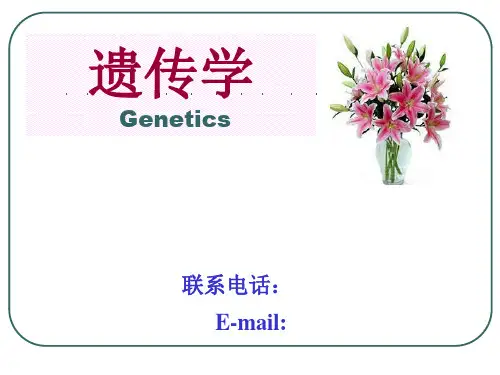 第2章 孟德尔定律PPT课件