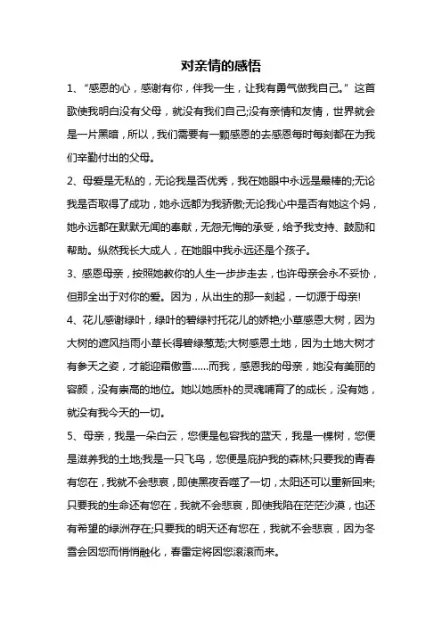 对亲情的感悟