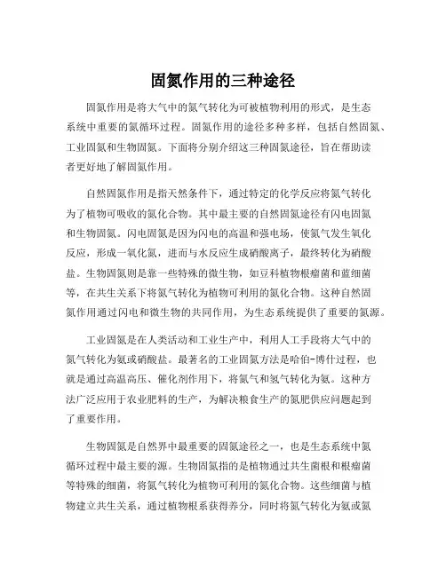 固氮作用的三种途径