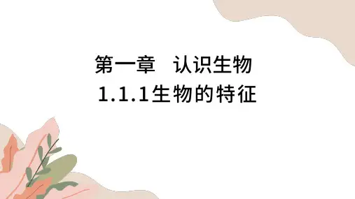 生物的特征 人教版生物七年级上册