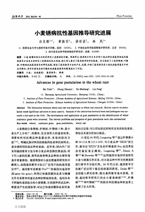 小麦锈病抗性基因推导研究进展