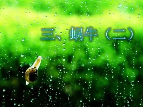 最新科教版科学小学三年级上册《2.3蜗牛(二)》最新精品课件PPT观摩课示范课公开课优质课赛教课课件ppt