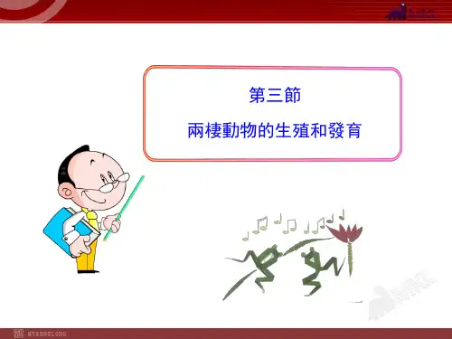 人教版生物8年级PPT课件-两栖动物的生殖和发育