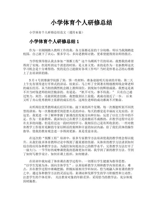 小学体育个人研修总结