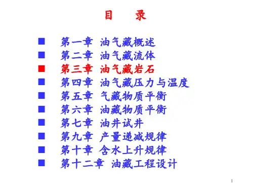 +油气藏岩石.PPT