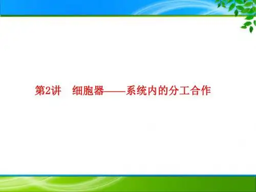 2020 高三生物一轮复习第二单元  细胞的结构与物质的输入与输出 课时作6 (2)