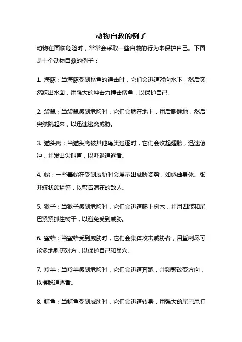 动物自救的例子