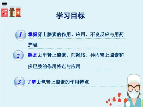 肾上腺素受体激动药—aβ受体激动药(药理学)