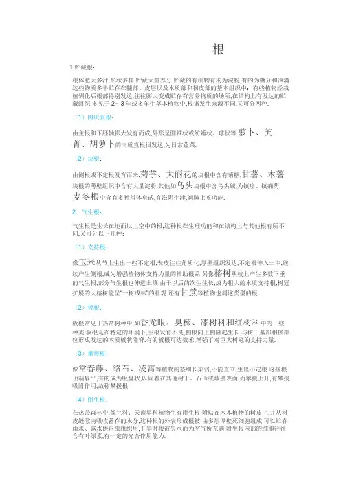 根茎叶的变态