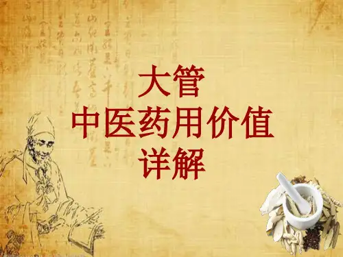 中药学_大管_药材详解课件模板