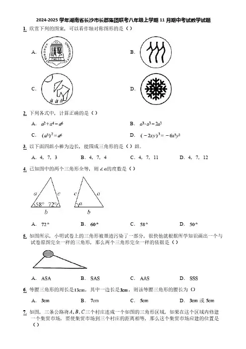 2024-2025学年湖南省长沙市长郡集团联考八年级上学期11月期中考试数学试题