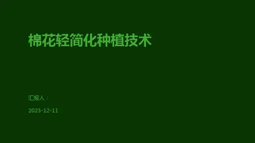 棉花轻简化种植技术
