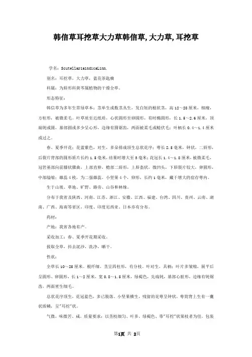 韩信草耳挖草大力草韩信草,大力草,耳挖草