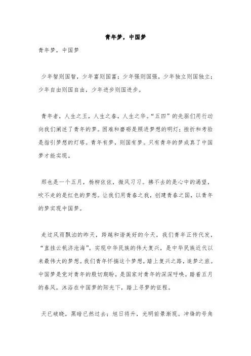 青年梦,中国梦 2