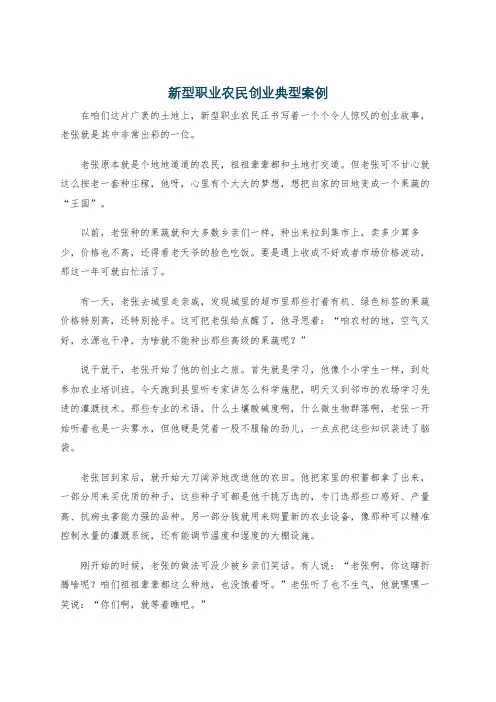 新型职业农民创业典型案例