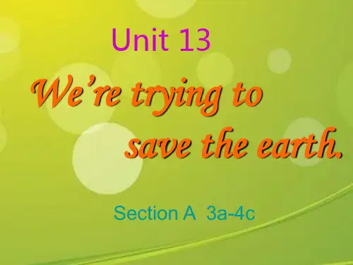 九年级下册英语第13单元Section A-2.ppt