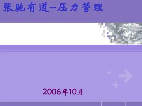压力管理概述(PPT 60张)