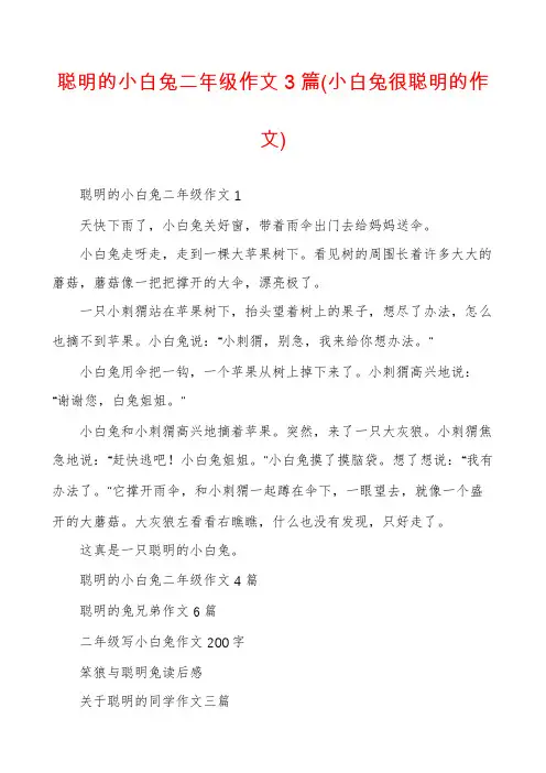 聪明的小白兔二年级作文3篇