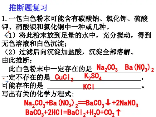 物质推断离子共存复习