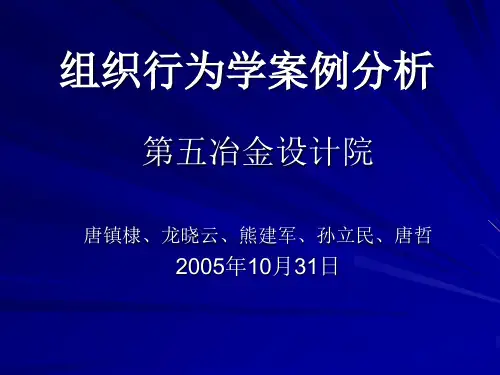 第五冶金设计院(第2组)综述