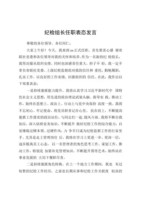 纪检组长任职表态发言